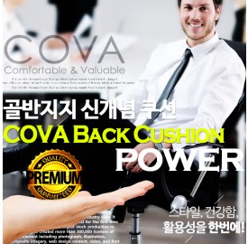 골반지지 쿠션 COVA 등쿠션